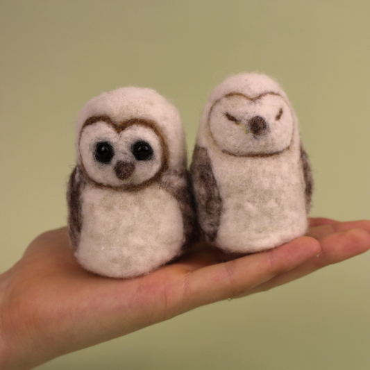 Barn Owl