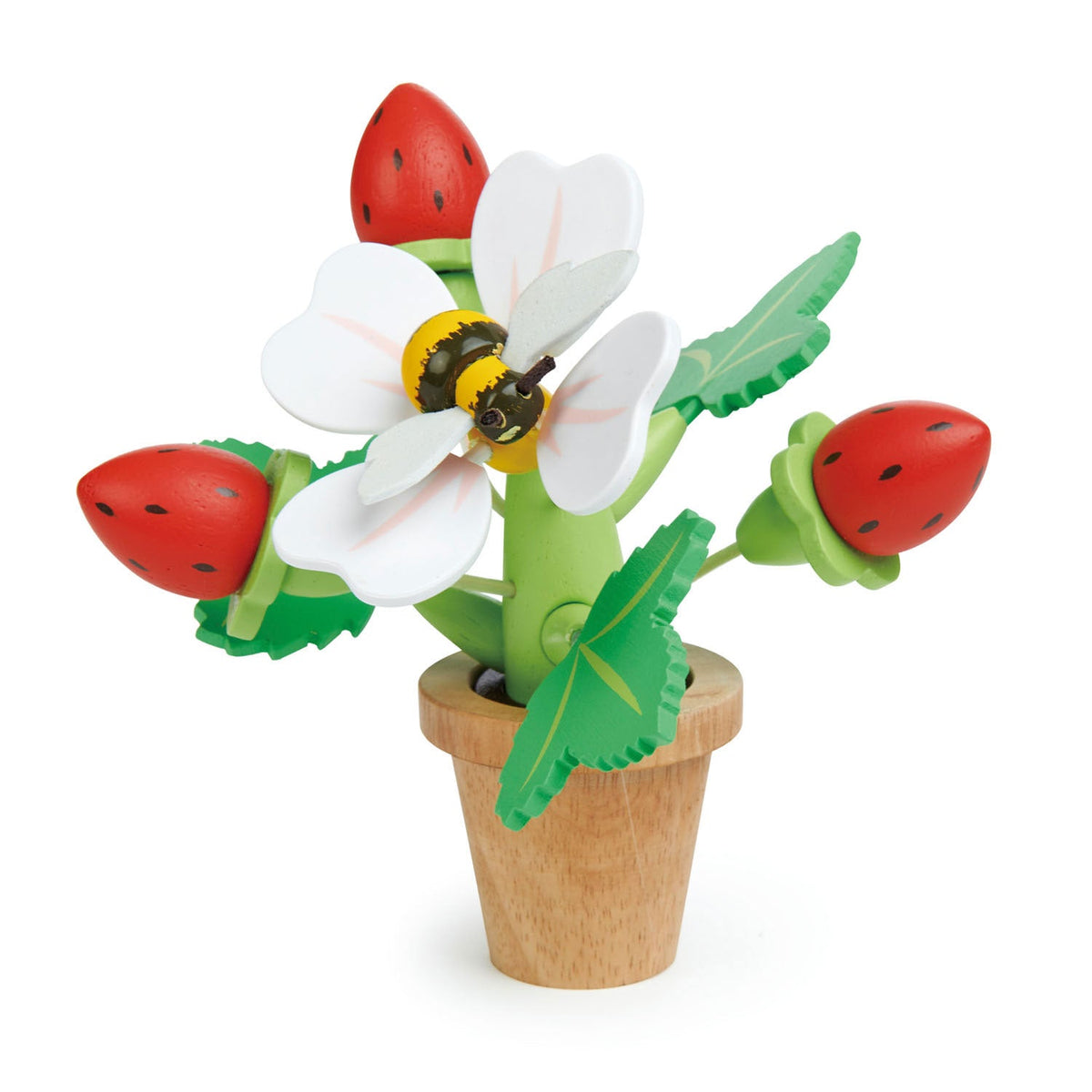 Strawberry Flower