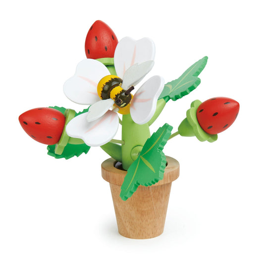 Strawberry Flower
