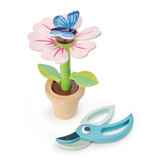 Blossom Flower