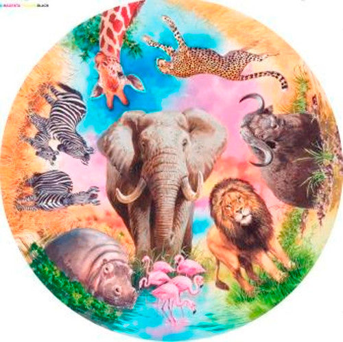 African Safari