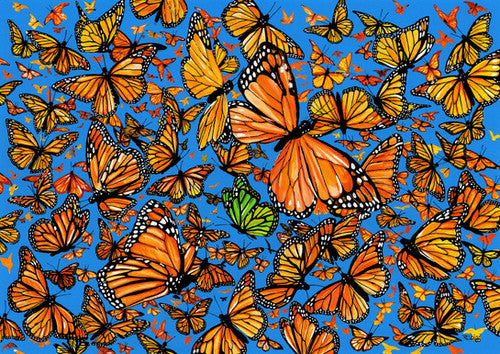 Butterflies