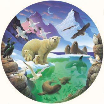 Arctic Discovery