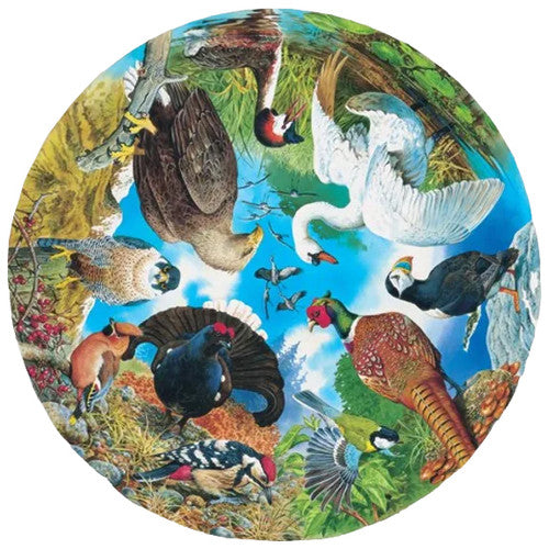 Birds of the Lake