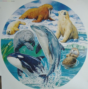 Marine Mammals | Groverly Puzzles