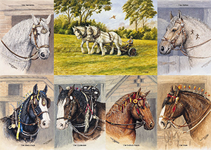 Heavy Horses | Groverly Puzzles