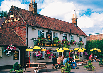 Blackbirds Inn | Groverly Puzzles