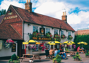 Blackbirds Inn | Groverly Puzzles