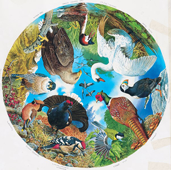 Birds of Lake Forest and Field | Groverly Puzzles