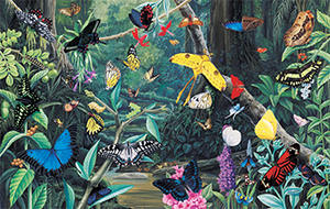 Butterfly Kaleidoscope | Groverly Puzzles