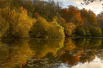 Autumn Leaves | Groverly Puzzles
