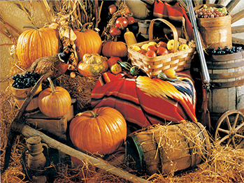 Autumn Harvest | Groverly Puzzles