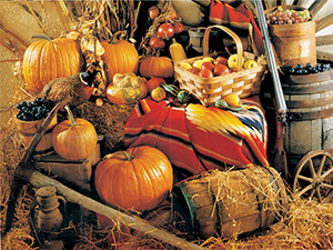 Autumn Harvest | Groverly Puzzles