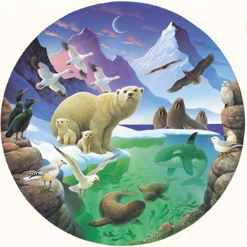 Artic Discovery | Groverly Puzzles