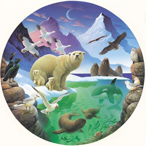 Artic Discovery | Groverly Puzzles