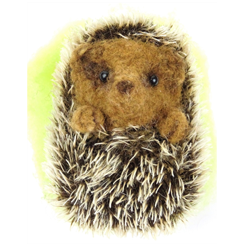 Curled Up Hedgehog | Markerss
