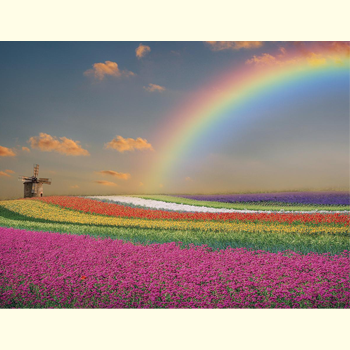 Scenic Rainbow | AJP Puzzles