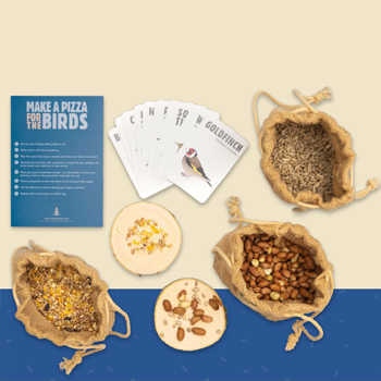 Pizza Kit For Birds | Den Kits