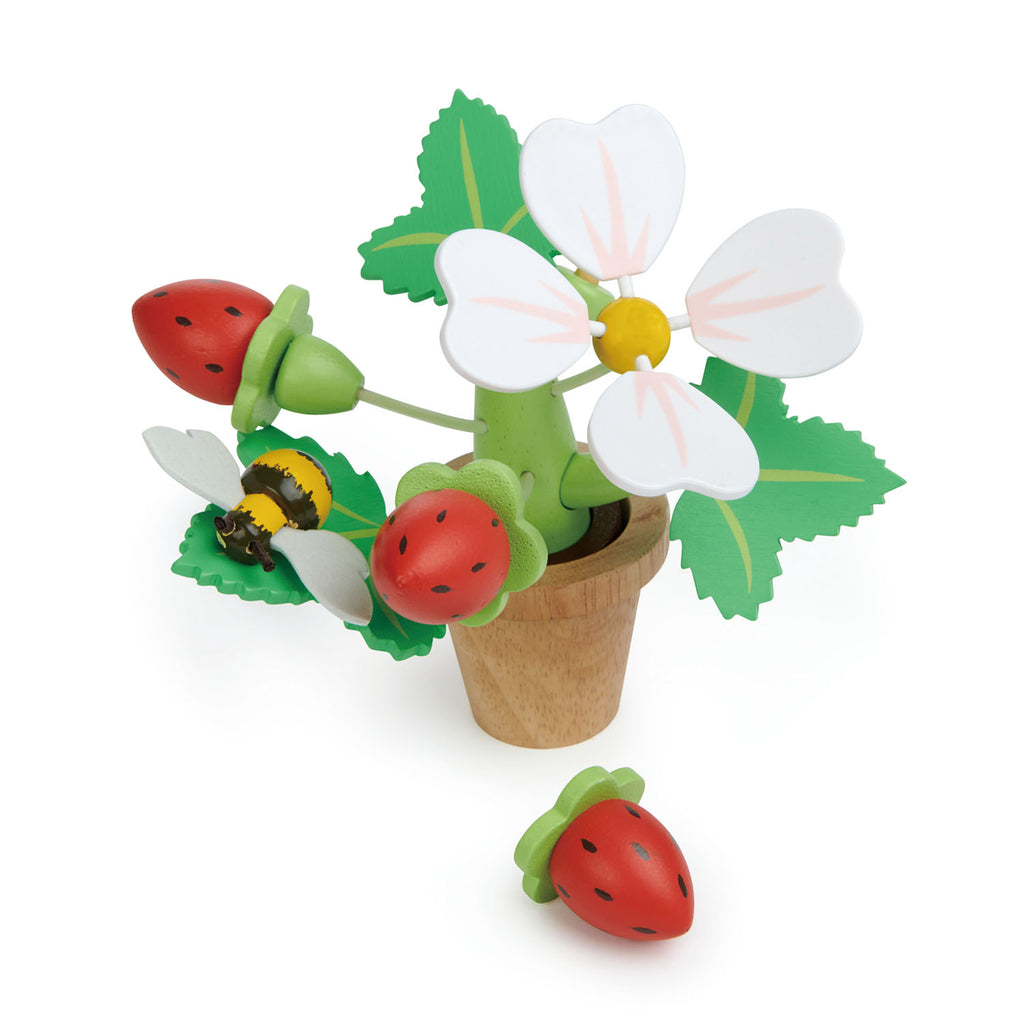 Strawberry Flower Pot | Thread Bear